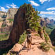 Angel's Landing hike